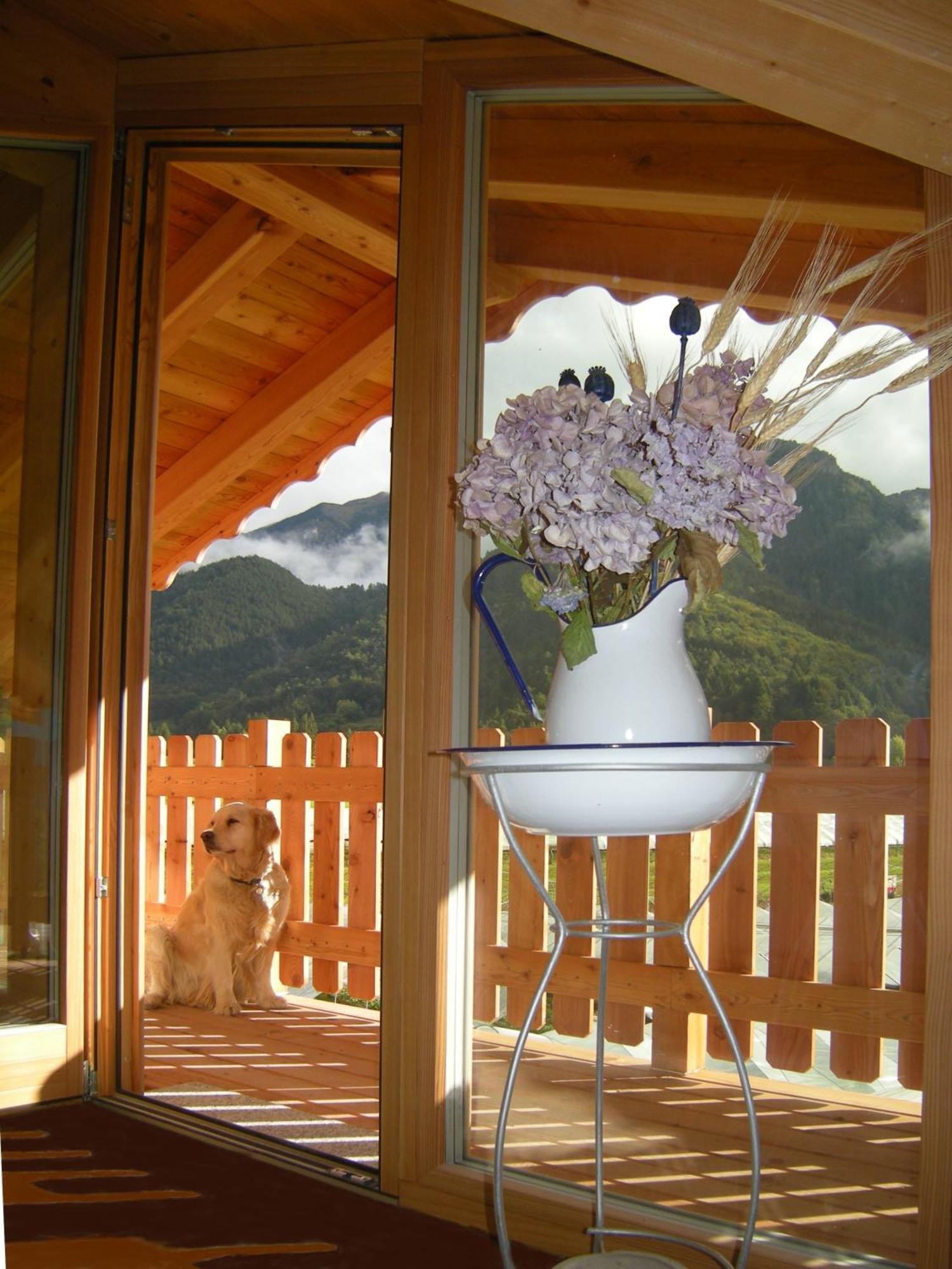 Bed and Breakfast Garnì dal Mozat Lenzumo di Concei Esterno foto